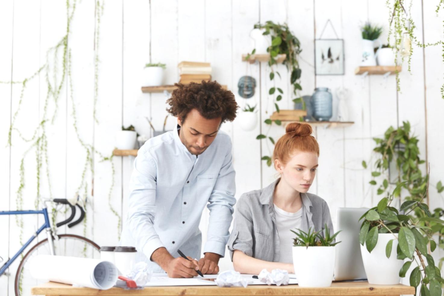 Professionelle Finanzschulung im Unternehmen